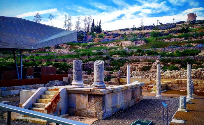 Carrus navalis: carnavalis