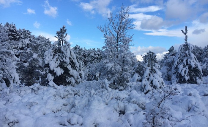 El año de los&nbsp;metaversos