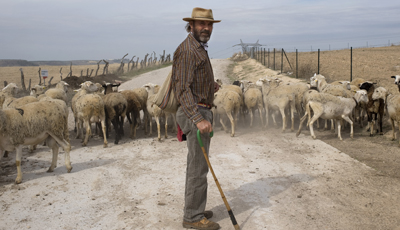 ¿Y usted qué es? ¿Pastor o&nbsp;agricultor?