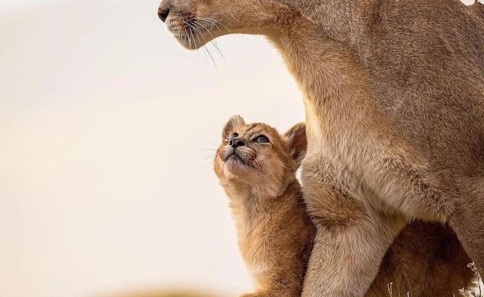 Su dios era&nbsp;mujer.