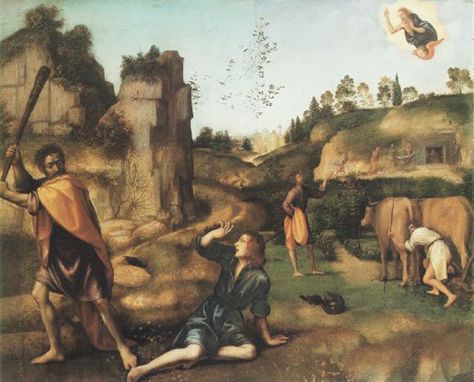 La creación del derecho procesal