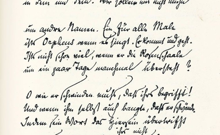 Los últimos textos de Albrecht y&nbsp;Dietrich