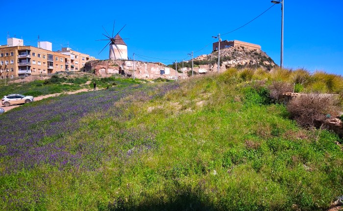 El Sacromonte y el Monte&nbsp;Sacro